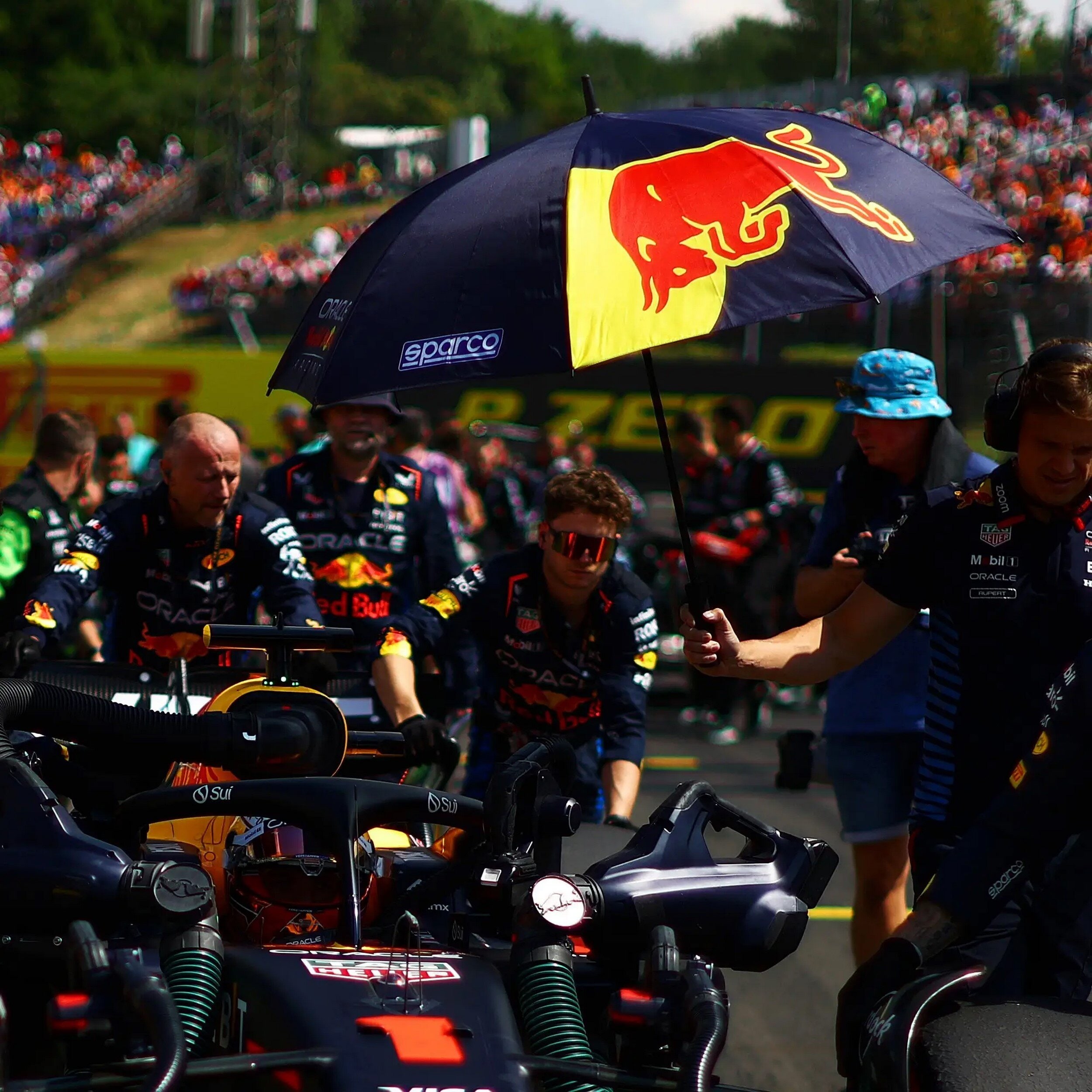 Paraply Red Bull  Racing