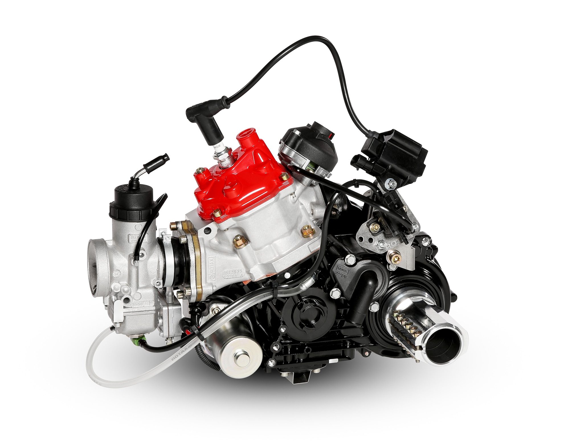 Rotax 125 Max DD2 Evo