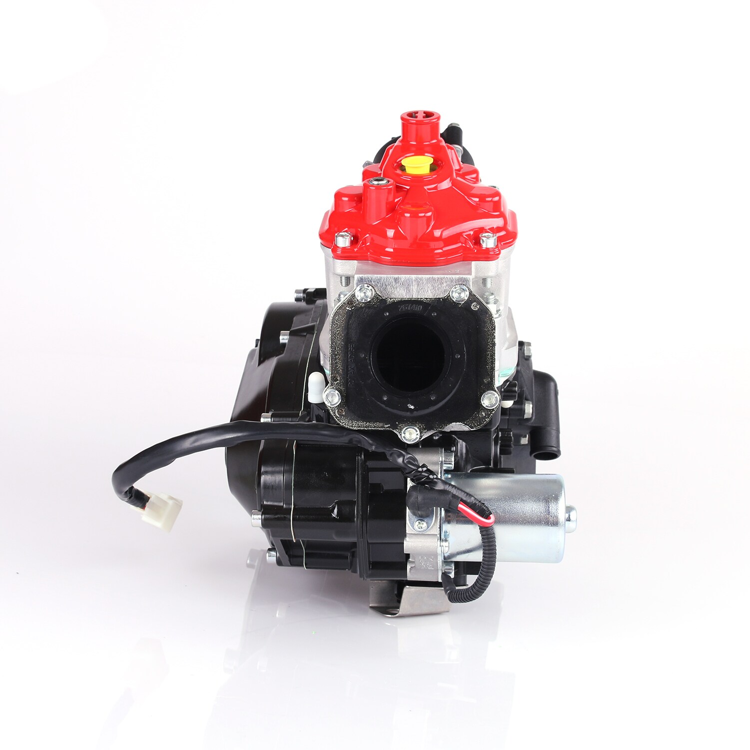 Rotax 125 Max DD2 (Endast motor)