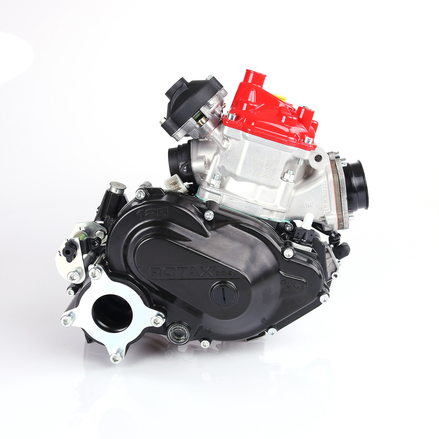 Rotax 125 Max DD2 (Endast motor)