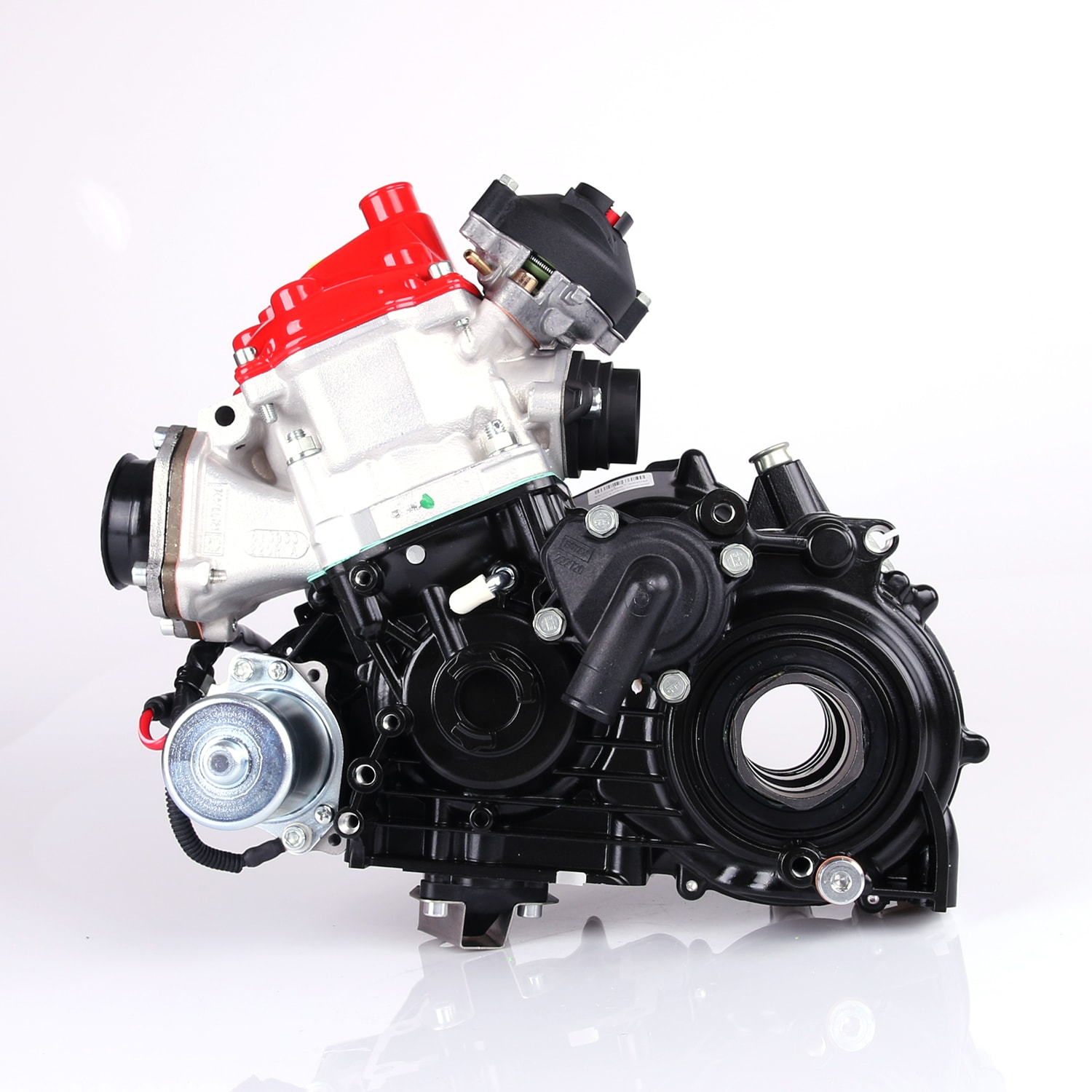Rotax 125 Max DD2 (Endast motor)