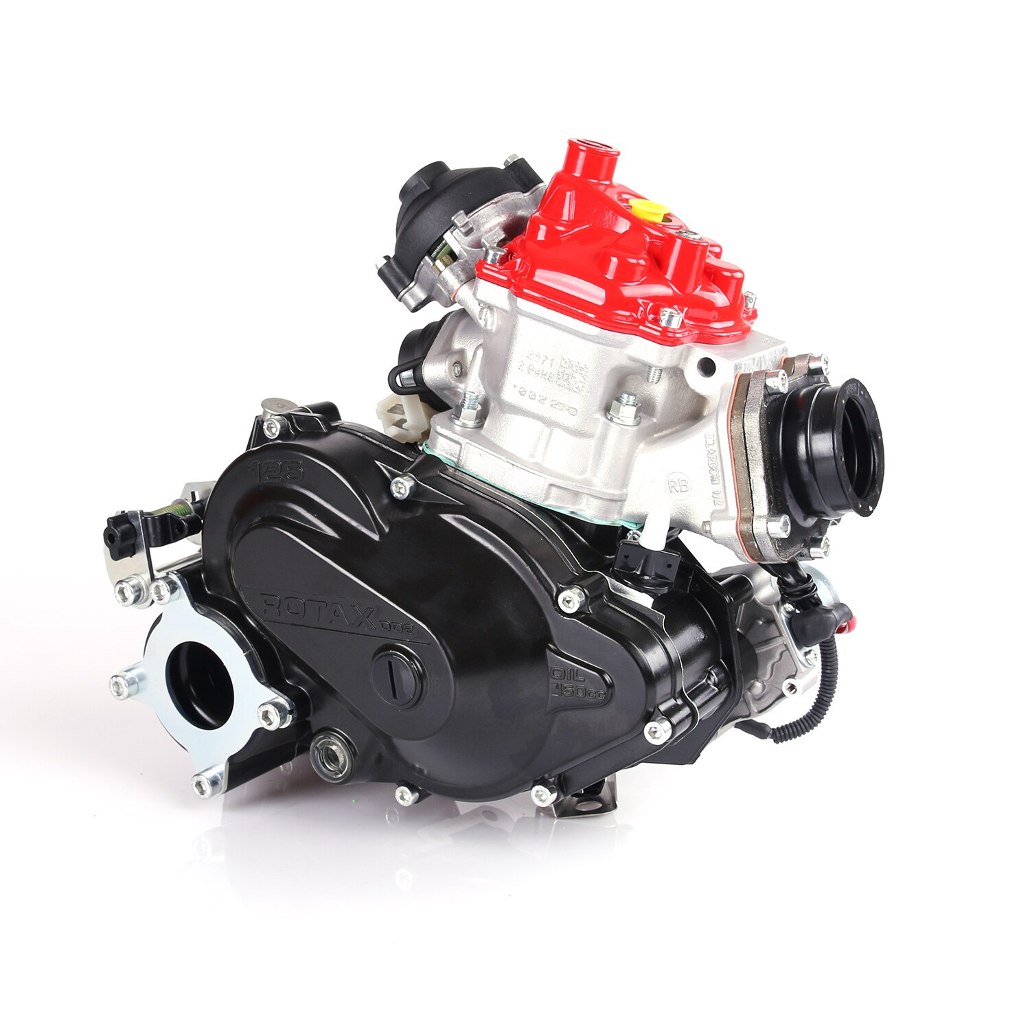 Rotax 125 Max DD2 (Endast motor)