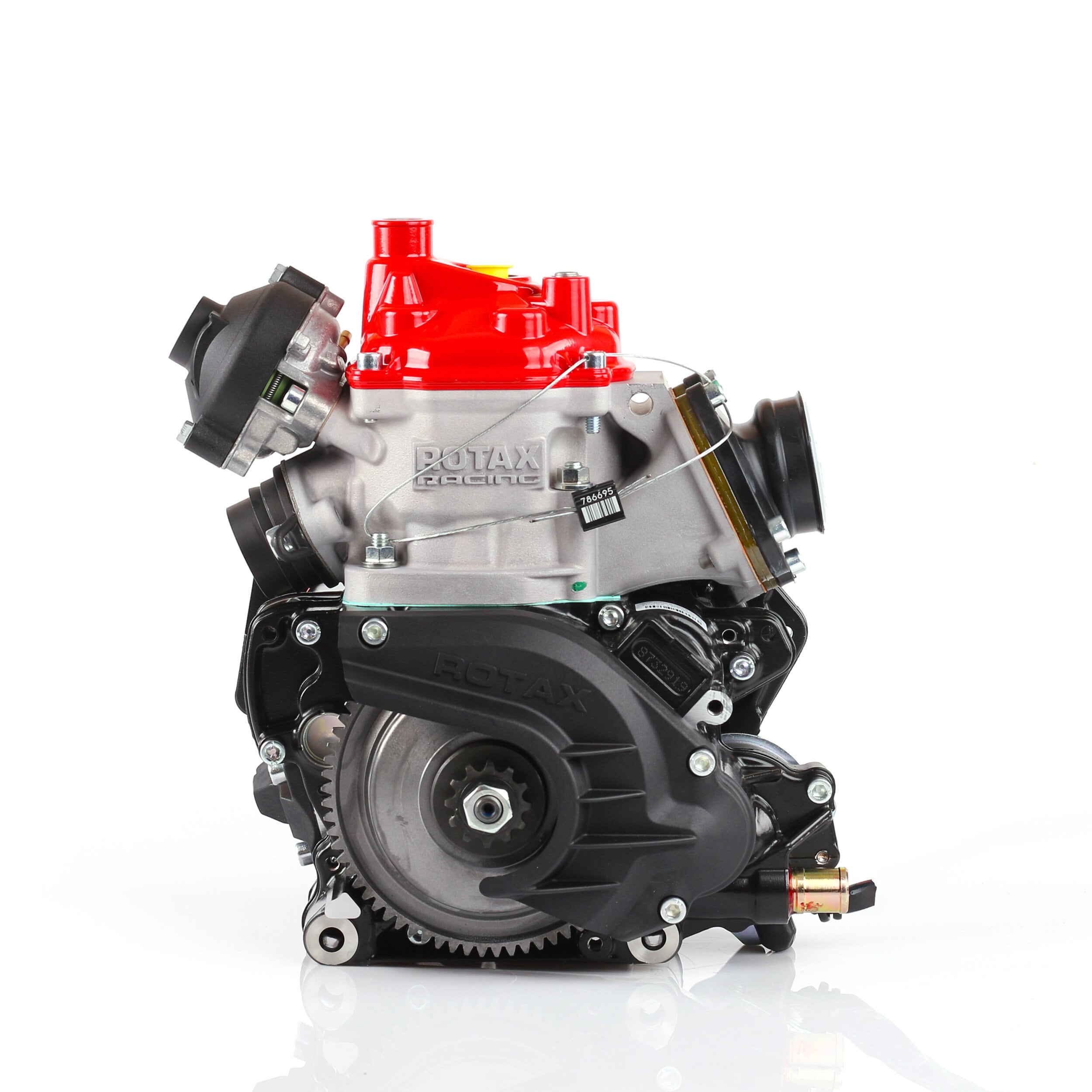Rotax 125 Max Senior 2025 (Endast motor)